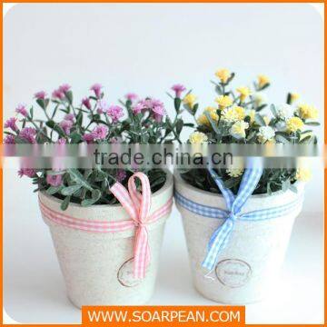 Lovely Custom Love Shape Potted Plants photo-3