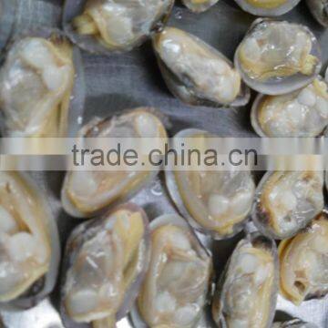 Japanese food supplier frozen delicious fresh whole boiled clam for sale