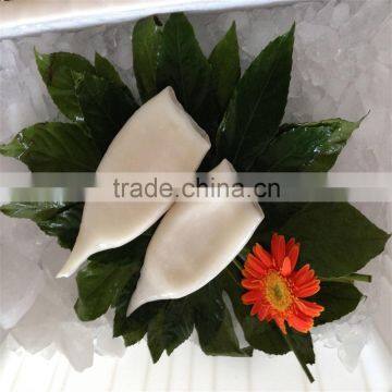 High quality Pacific squid tube (Todarodes Pacificus)