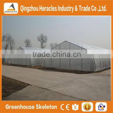 Heracles 2016 Hot Sale Flower Pot Vertical Garden Green Wall With Hydroponics System photo-4