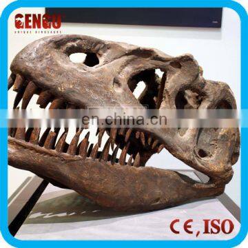 High quality original size fiberglass dinosaur skull sale