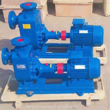 Professional Self-priming Sewage Water Pump