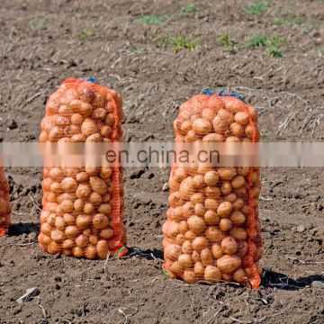 PE mesh bag /Raschel mesh net / vegetable bag