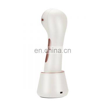 Portable Home Use Multi-functional Galvanic Facial Machine Ion Facial Beauty Device Personal Care