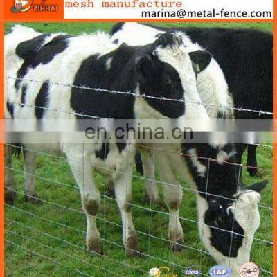 Galvanized Steel Field Fence Wire Mesh Wavy Plain Weave Knitted Wire Mesh Farm Fence photo-5