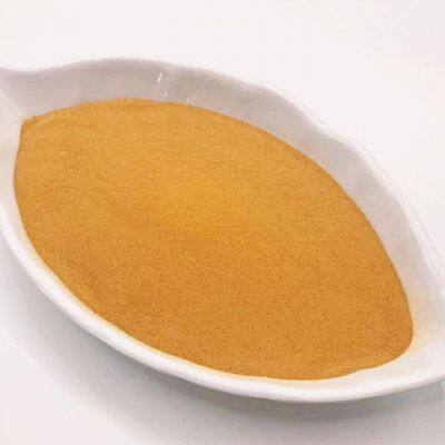 Corn Steep Liquor Powder Factory Direct Sales photo-2