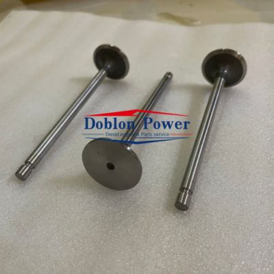 China Supplier IVECO FPT Engine Part Inlet Valve 4895052 for Iveco FPT and Cummins ISB/QSB 6.7, ISB 4.5, ISB