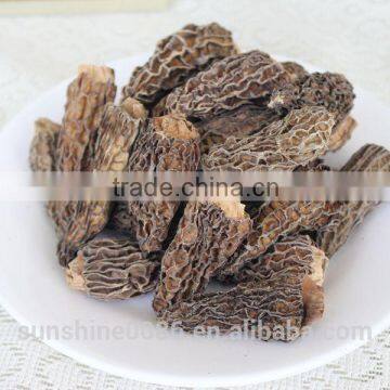 Dried Morel Mushroom