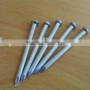 galvanized concrete nail with flat head