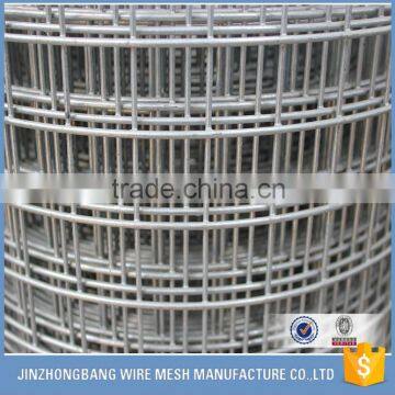 Galvanized Welded Wire Mesh (Professional Manufacturer)