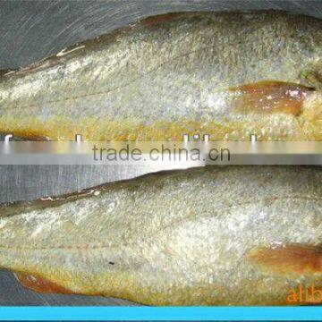 FROZEN YELLOW CROAKER WHOLE ROUND