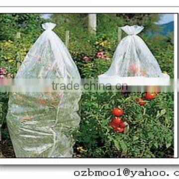 Plastic sleeves film for tomato growing