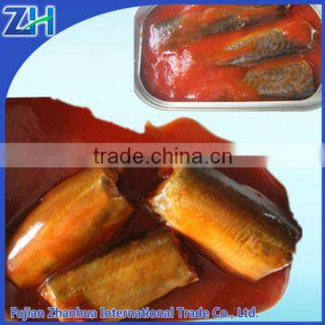 canned mackerel in brine in tomato sauce