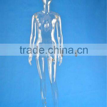 Full Body Transparent Mannequin