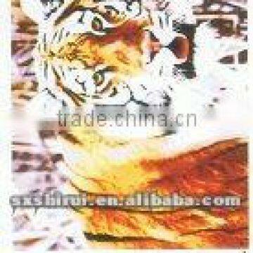 Wild Animal Printing Polar Fleece Blanket