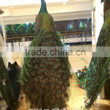 Whosale Lifelike Decorative Peacock With Excellent Quality