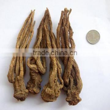 Chinese Herbal oil 100 Pure Natural Angelica sinensis Oil