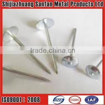 flat head roofing nails