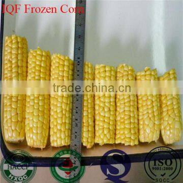 IQF Freezing Process and Whole Part frozen iqf frozen sweet corn