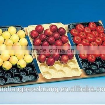 China Supply FDA/SGS Food Grade Custom Made Thermoformed Gillian's PP Plastic Fruit Tray