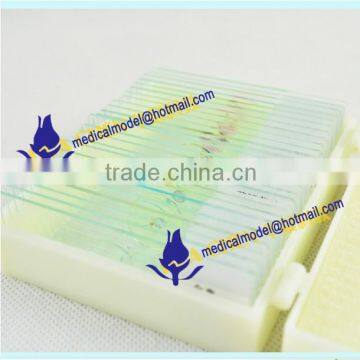 Microslide Microscope Glass Slide