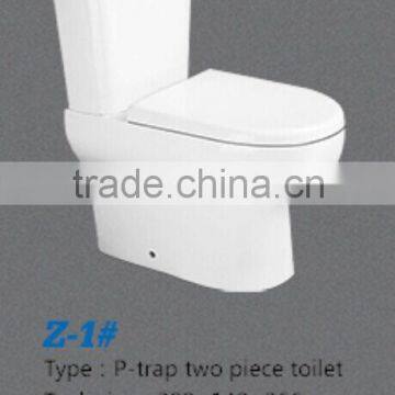 ceremic sanitaryware, toilet including the toilet fittings