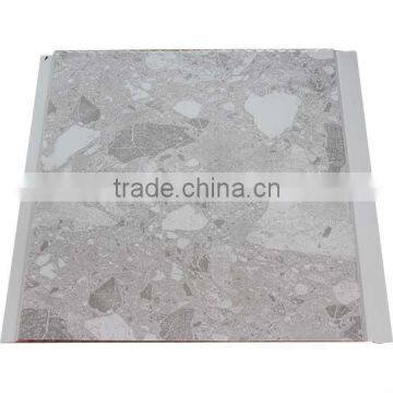Pvc Ceiling Wall Pane (RPV509)