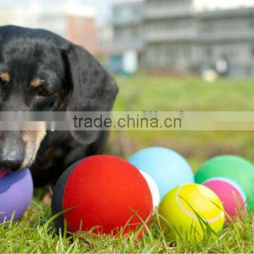 Hollow Rubber Pet Ball