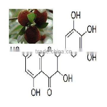 ISO9001/HACCP/Kosher/Halal Dihydromyricetin