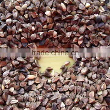 High Quality Buckwheat photo-2