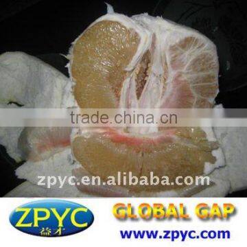 Chinese fresh pinghe honey pomelo