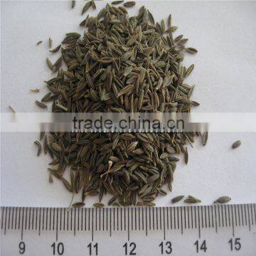 Herbs Products Black Cumin Seeds