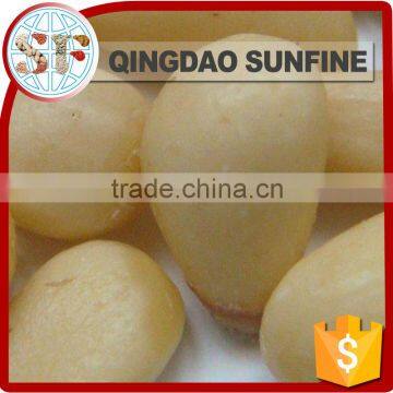 Chinese organic pine nuts