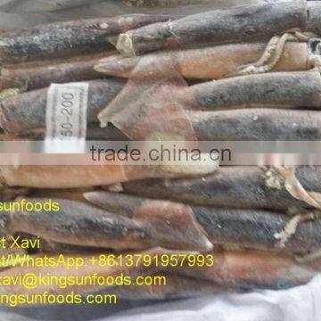 Wholesale W/R Illex Squid,illex argentinus squid,150/200g