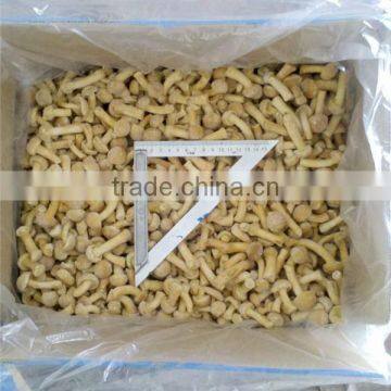 Frozen Nameko Mushroom/ IQF Nameko Food photo-3