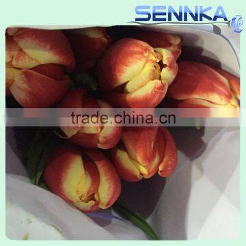 Quality Fresh Cut Flower in China /design Roses/jasmine/decorative Natural Flowers photo-3