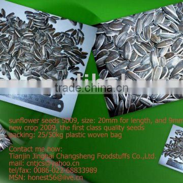 chinese sunflower seeds 5009, 5135