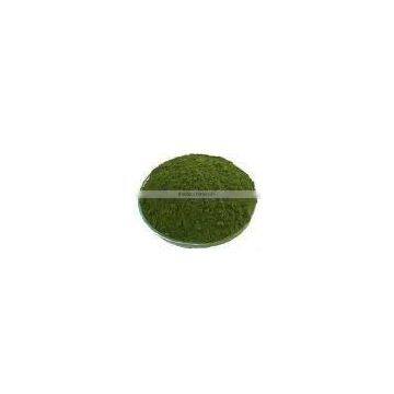 Moringa powder
