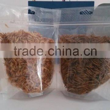 dried shrimp fish food