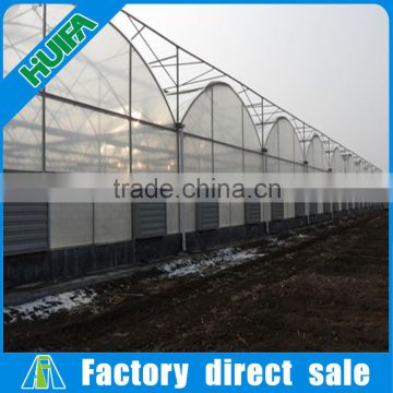 Film Cover Material Multi Span Agricultural Type Tomato greenhouses