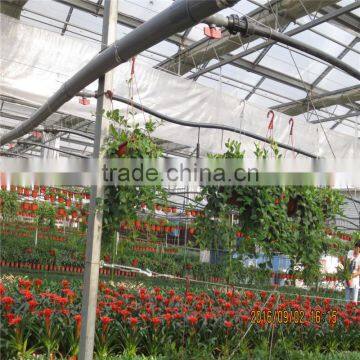 Large Tunnel Galvanized Agricultural Greenhouse for Green Vegetables photo-5