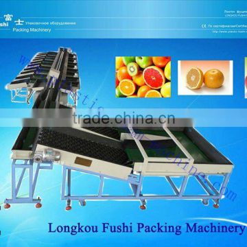 Hot Selling Automatic Fruit Weight Grading Machine