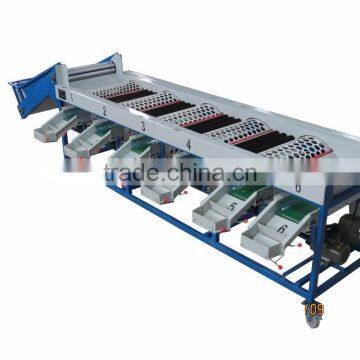 Garlic /Vegetable and Fruit Cleaning and Grading/Sorting machine