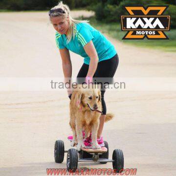 Motor Skate Board 900W