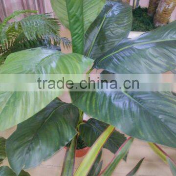 SJ12001162 Name Potted Decorative Foliage Plant Plastic Plant Indoor photo-5