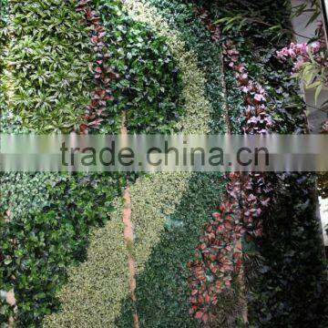 Artificial Grass Wall China Factory (5X5.5m) Pattern Plant Wall photo-2