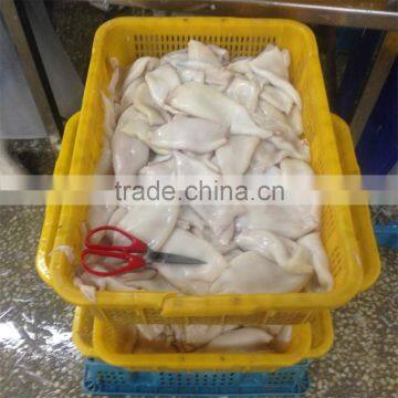 Frozen Squid Tube photo-6