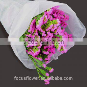 factory price supply 60cm fresh cut real touch statice Preserved Fresh Flower for birthday