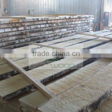 High Quality Unedged Birch Timber photo-2