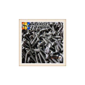 china GR2 titanium fasteners